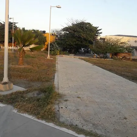 Mora *